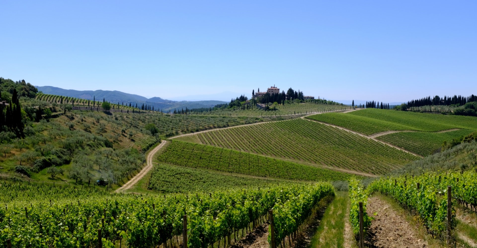 Agricoltura Biologica